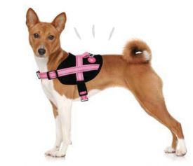 Biozoo Agile Harness Pink